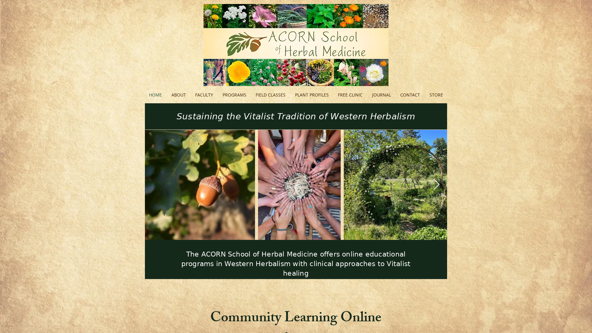 Acorn School of Herbal Medicine